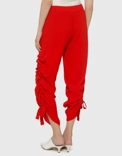 Alexis Brooklen Drawstring Side Detail Pants -Gani Clothing Shop 27404