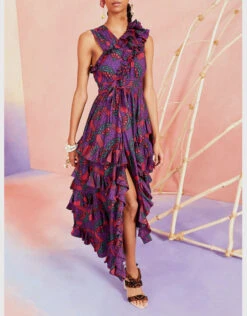Ulla Johnson Imogen Printed Ruffled Maxi Dress -Gani Clothing Shop 90112